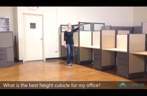 What is the Best Cubicle Height for my Office?